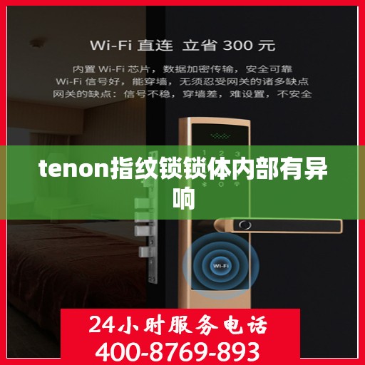 tenon指纹锁锁体内部有异响