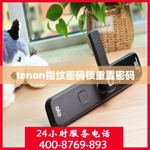 tenon指纹密码锁重置密码