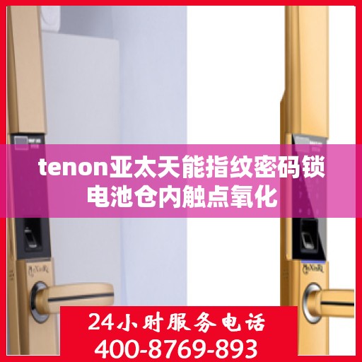 tenon亚太天能指纹密码锁电池仓内触点氧化