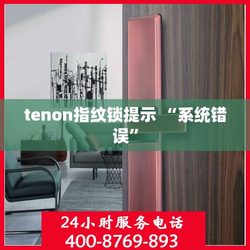 tenon指纹锁提示 “系统错误”