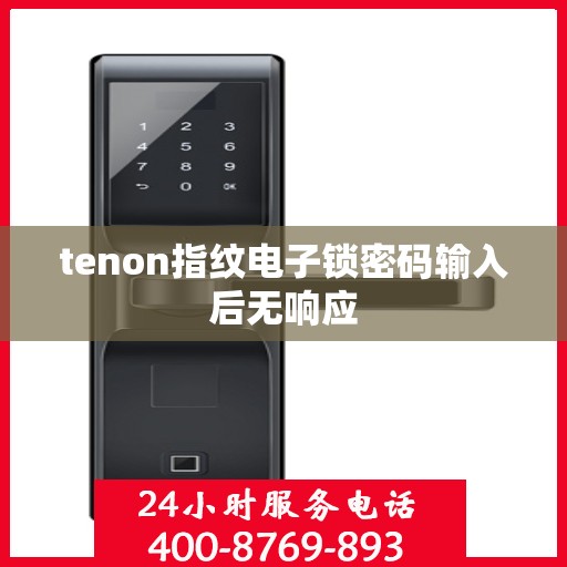 tenon指纹电子锁密码输入后无响应