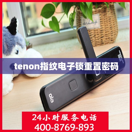 tenon指纹电子锁重置密码