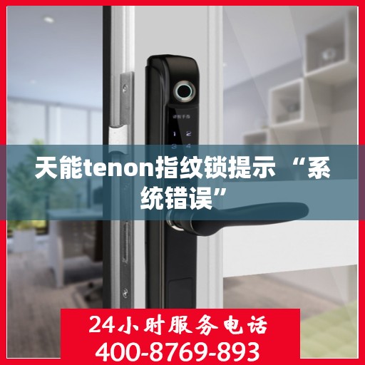 天能tenon指纹锁提示 “系统错误”