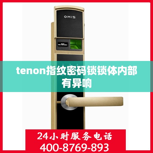 tenon指纹密码锁锁体内部有异响