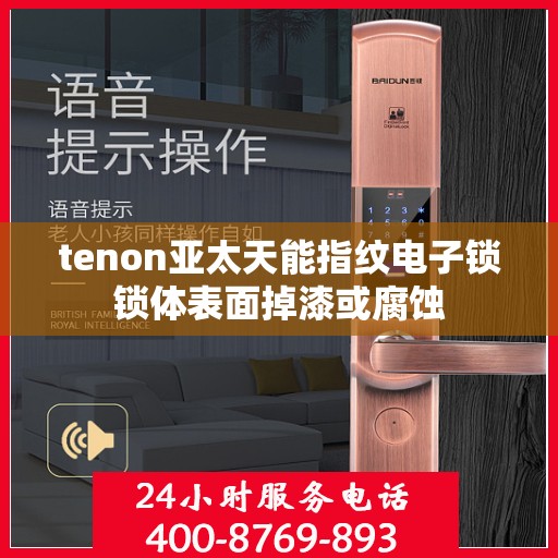 tenon亚太天能指纹电子锁锁体表面掉漆或腐蚀