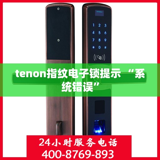 tenon指纹电子锁提示 “系统错误”