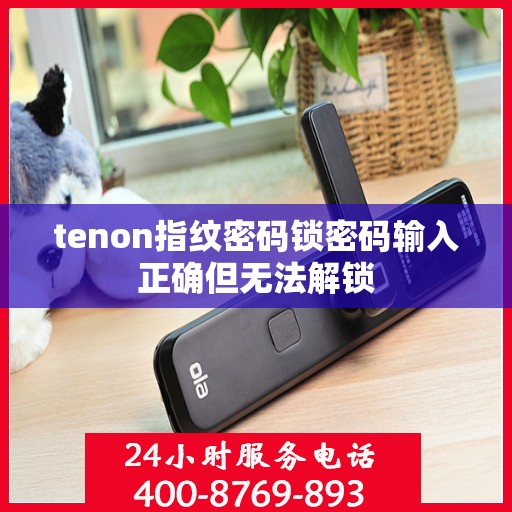 tenon指纹密码锁密码输入正确但无法解锁