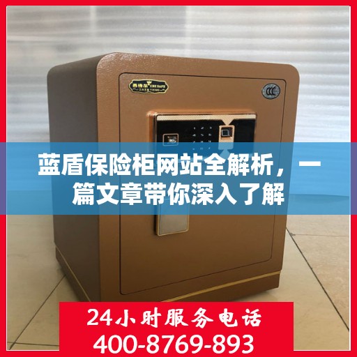 蓝盾保险柜网站全解析，一篇文章带你深入了解