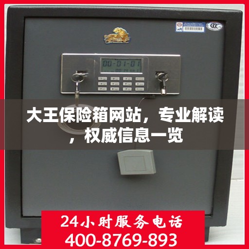 大王保险箱网站，专业解读，权威信息一览