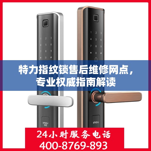 特力指纹锁售后维修网点，专业权威指南解读
