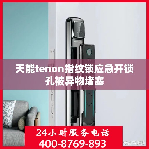 天能tenon指纹锁应急开锁孔被异物堵塞