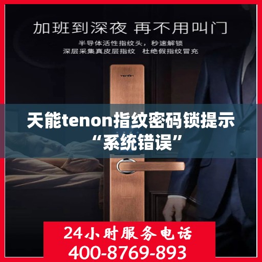 天能tenon指纹密码锁提示 “系统错误”