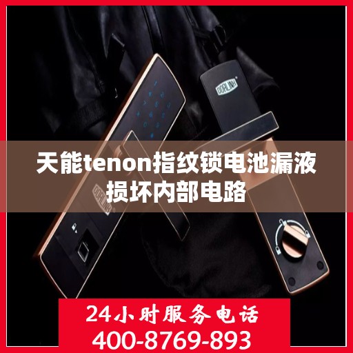 天能tenon指纹锁电池漏液损坏内部电路