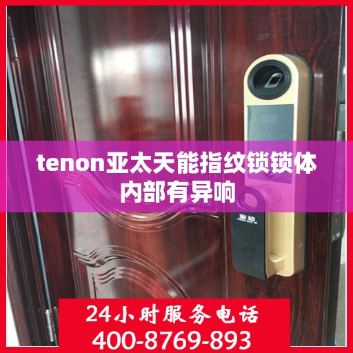 tenon亚太天能指纹锁锁体内部有异响