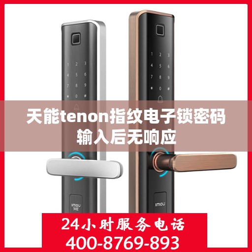 天能tenon指纹电子锁密码输入后无响应
