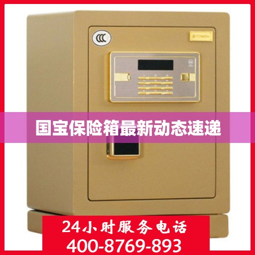 国宝保险箱最新动态速递