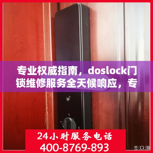 专业权威指南，doslock门锁维修服务全天候响应，专业维修团队为您排忧解难