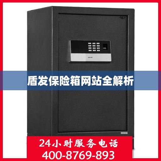 盾发保险箱网站全解析