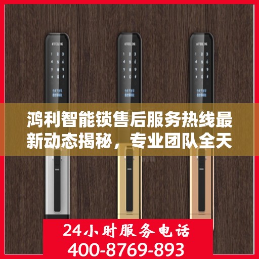 鸿利智能锁售后服务热线最新动态揭秘，专业团队全天候响应，贴心服务保障您的安全需求