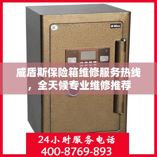 威盾斯保险箱维修服务热线，全天候专业维修推荐