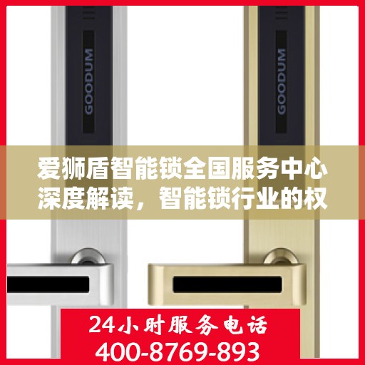 爱狮盾智能锁全国服务中心深度解读，智能锁行业的权威声音