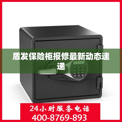 盾发保险柜报修最新动态速递