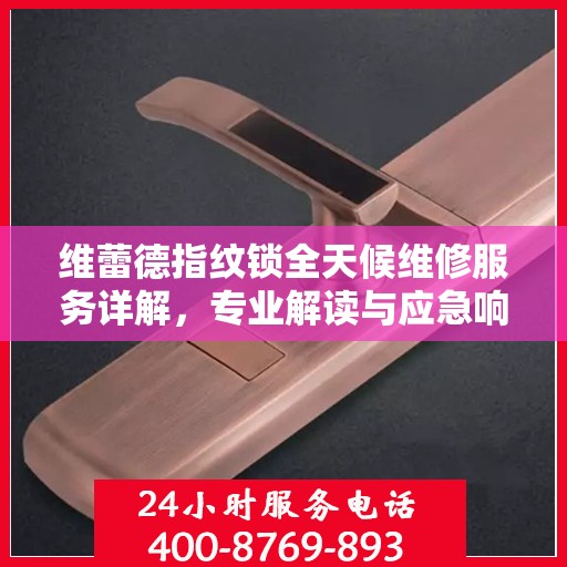 维蕾德指纹锁全天候维修服务详解，专业解读与应急响应权威指南