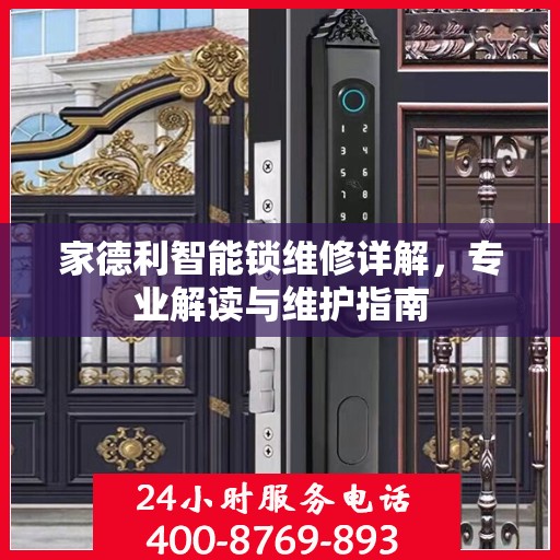 家德利智能锁维修详解，专业解读与维护指南