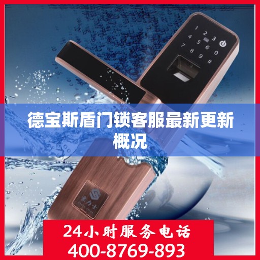 德宝斯盾门锁客服最新更新概况