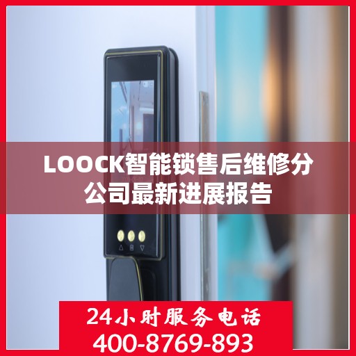 LOOCK智能锁售后维修分公司最新进展报告