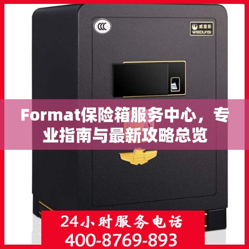 Format保险箱服务中心，专业指南与最新攻略总览