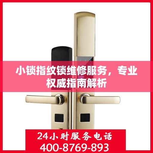 小锁指纹锁维修服务，专业权威指南解析