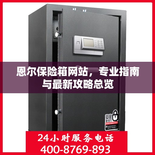 恩尔保险箱网站，专业指南与最新攻略总览