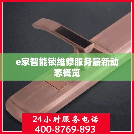 e家智能锁维修服务最新动态概览