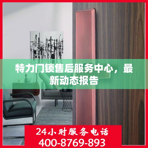 特力门锁售后服务中心，最新动态报告