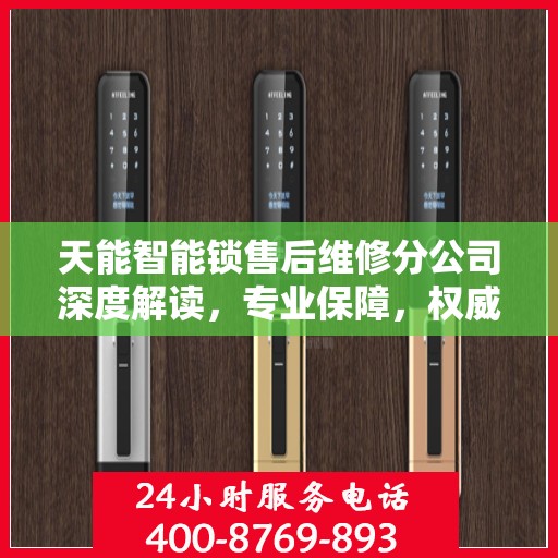 天能智能锁售后维修分公司深度解读，专业保障，权威声音