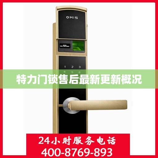 特力门锁售后最新更新概况