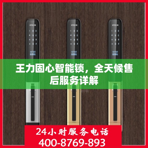 王力固心智能锁，全天候售后服务详解