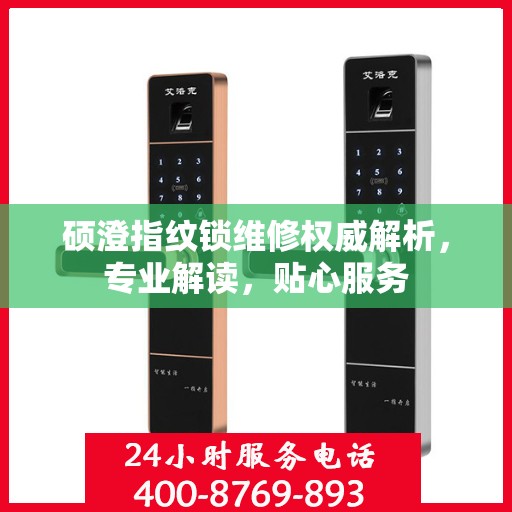 硕澄指纹锁维修权威解析，专业解读，贴心服务