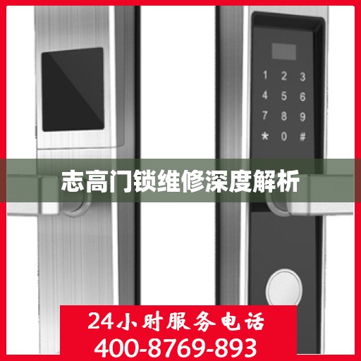 志高门锁维修深度解析