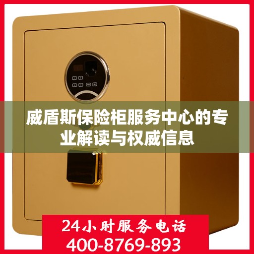 威盾斯保险柜服务中心的专业解读与权威信息