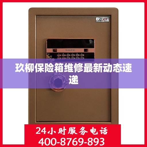 玖柳保险箱维修最新动态速递