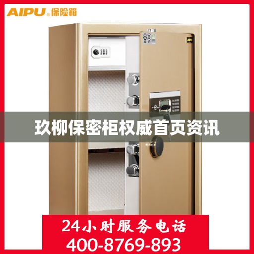 玖柳保密柜权威首页资讯