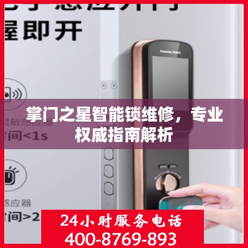 掌门之星智能锁维修，专业权威指南解析
