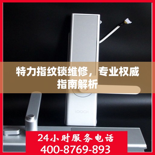 特力指纹锁维修，专业权威指南解析