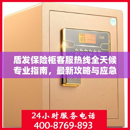 盾发保险柜客服热线全天候专业指南，最新攻略与应急响应服务