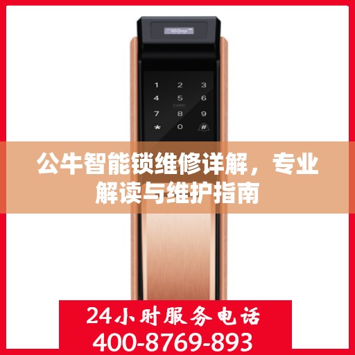 公牛智能锁维修详解，专业解读与维护指南