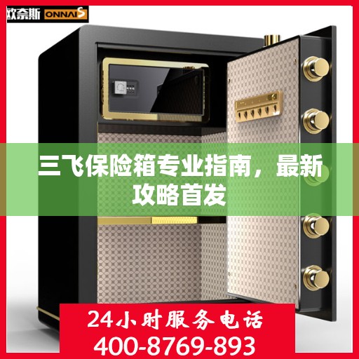 三飞保险箱专业指南，最新攻略首发