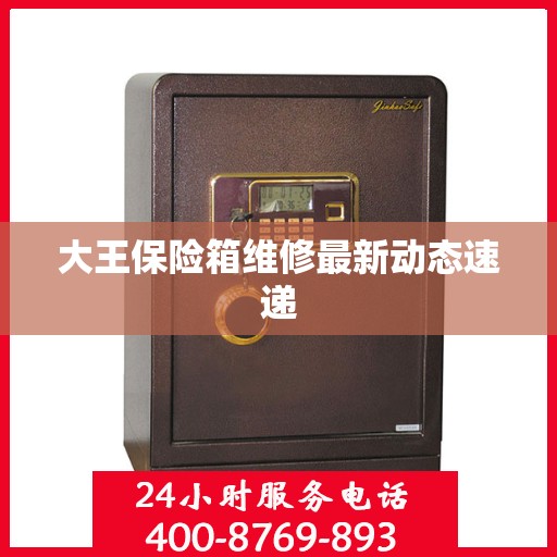 大王保险箱维修最新动态速递