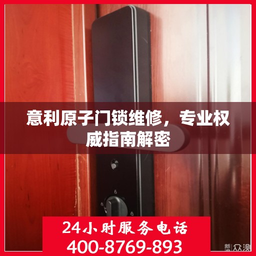 意利原子门锁维修，专业权威指南解密